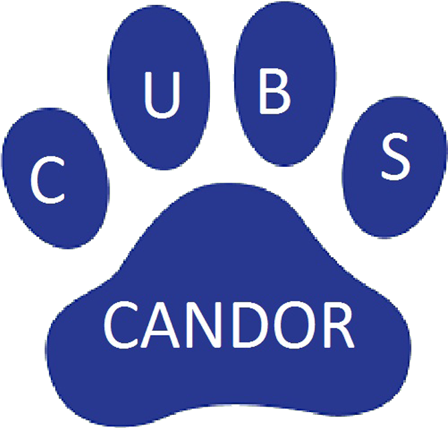 Candor Elementary School - Candor Elementary School Nc (650x638)