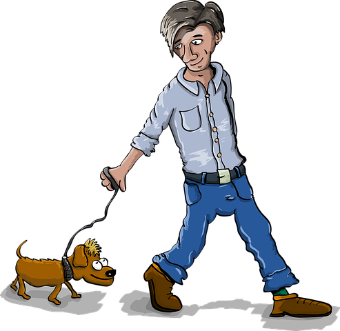 Pets Can Keep You Active - Clipart Person Walking Dog Transparent (493x480)