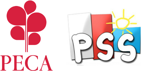 Polish Schools In Northern Ireland Peca Ni Rh Peca - Pss Belfast (600x240)