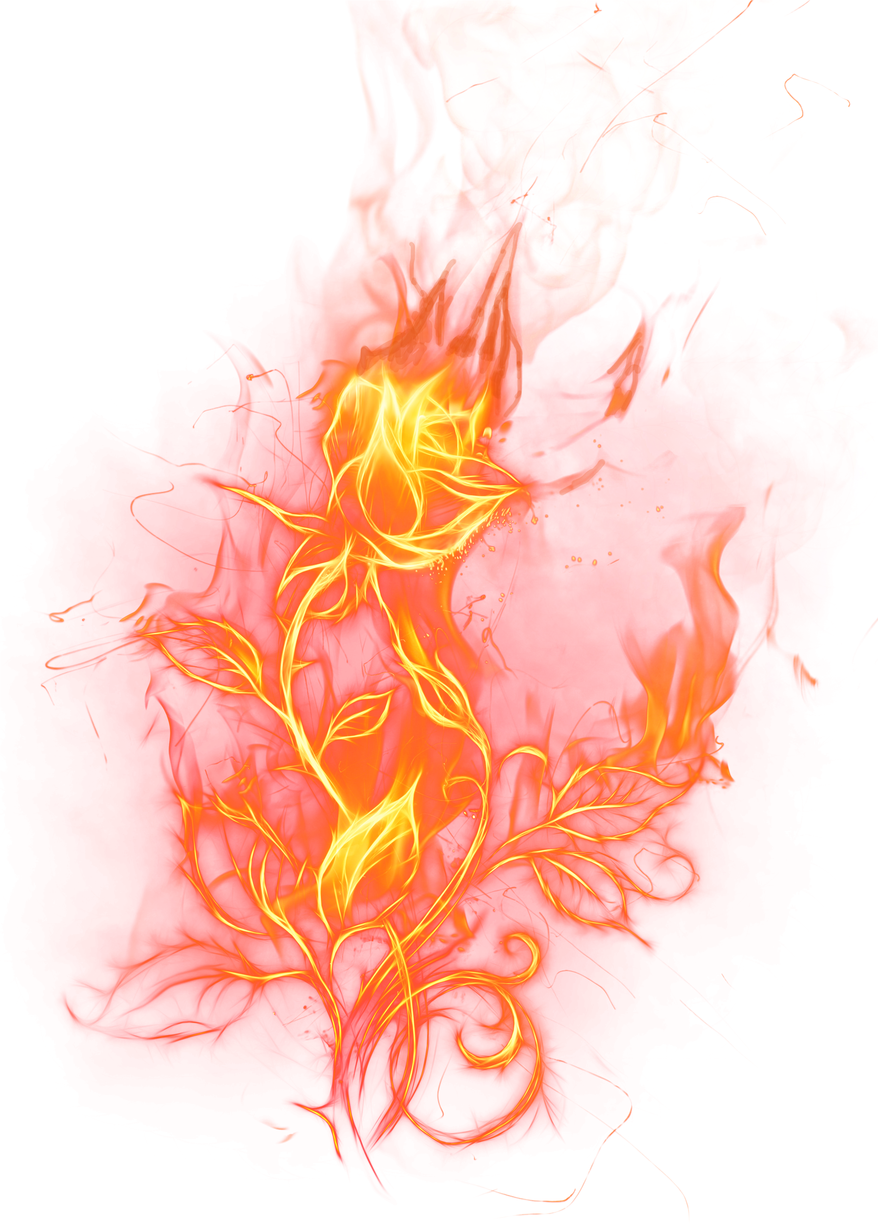 Light Rose Fire Clip Art - Fire Rose Png (3074x4344)