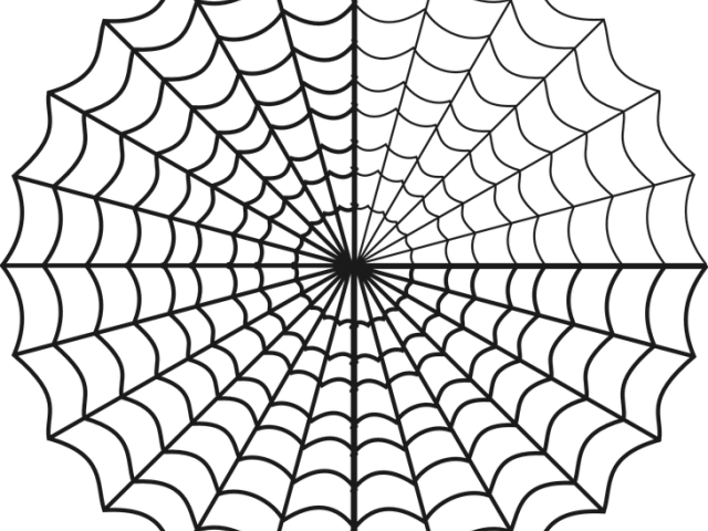 Drawn Spider Web Circle - Spider Web Clip Art (640x480)