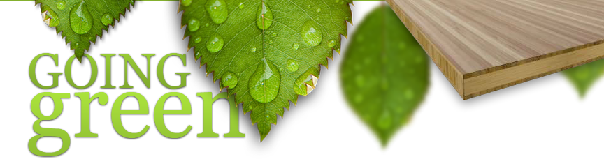 Goinggreen Fsc Certified Fabricator - Posterazzi Wet Leaves Winnipeg Canada Posterprint Dpi2065817 (864x228)