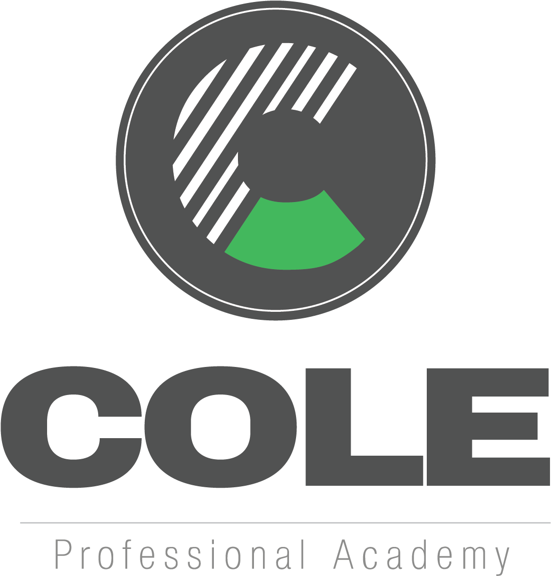 Symbol For Cole Professional Academy - Symbol (1254x1311)
