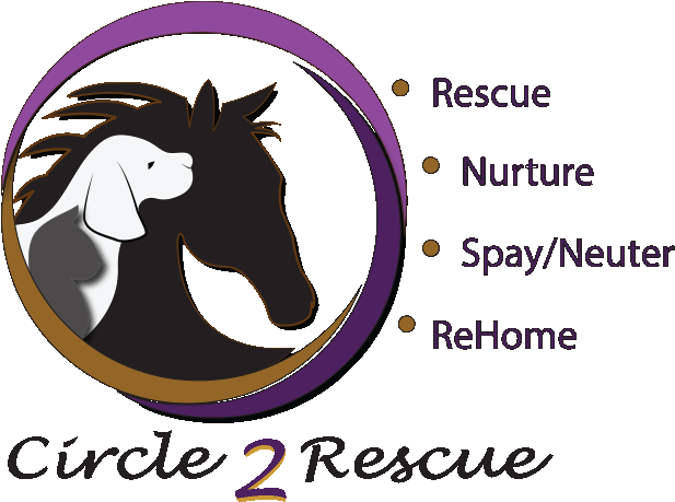 Adoption Contract - Cartoon (673x531)