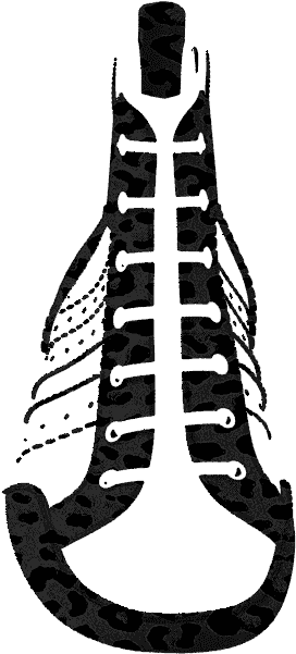 Y1508 Black Calvin Leather - Illustration (1024x768)