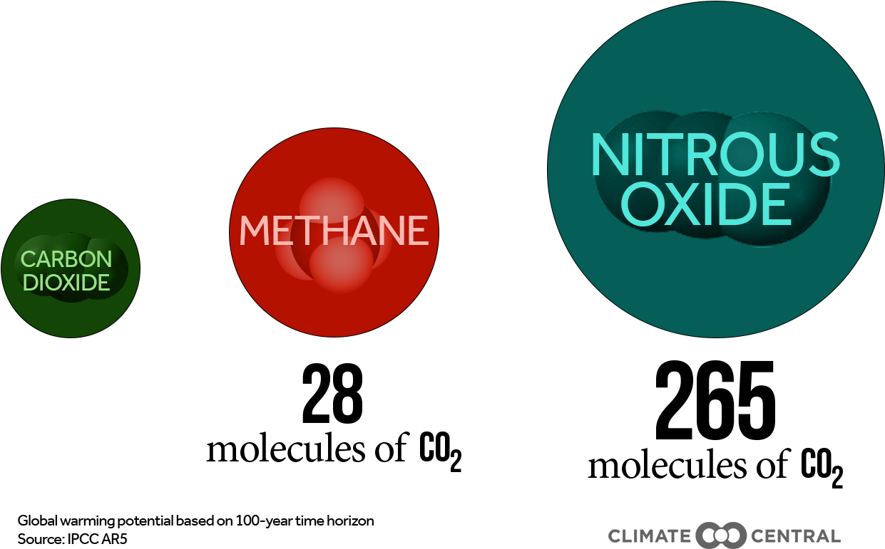 Jpg • Transparent Png - Graphic Design (1920x1080)