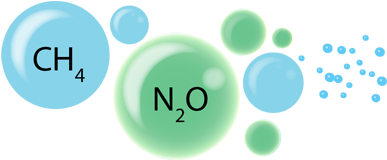 Oceanic Methane & Nitrous Oxide Workshop - Professor (420x300)