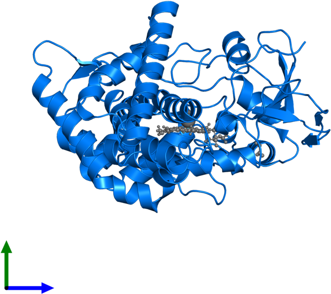 <div Class='caption-body'>pdb Entry 5y5g Contains 1 - Protein (800x800)