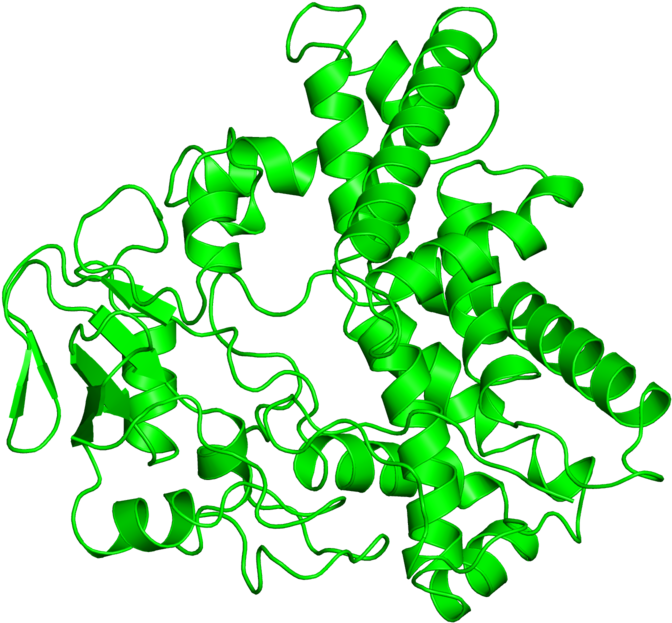 <div Class='caption-body'>1 Copy Of Cath Domain - <div Class='caption-body'>1 Copy Of Cath Domain (800x800)