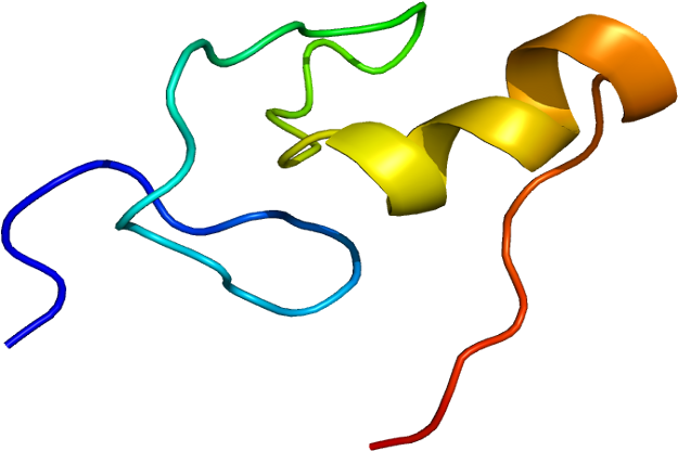 Anemia Wikipedia,red Blood Cell Indices Pcv Mcv Mchc - Factor De Transcripcion Gata 1 (674x465)