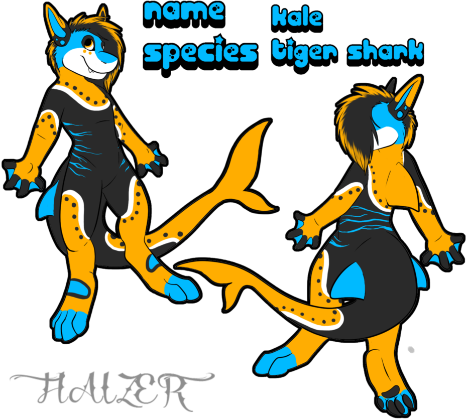 Kale The Tiger Shark By Knuckle-up - Shark Fursona Ref Sheet (942x848)