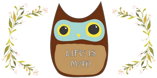 Owl You Need Is Love (512x264)