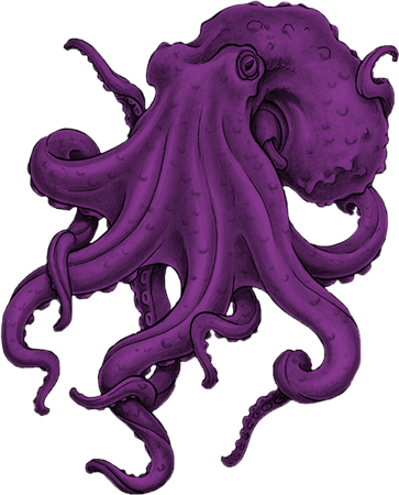 Octopus - - Illustration (363x450)