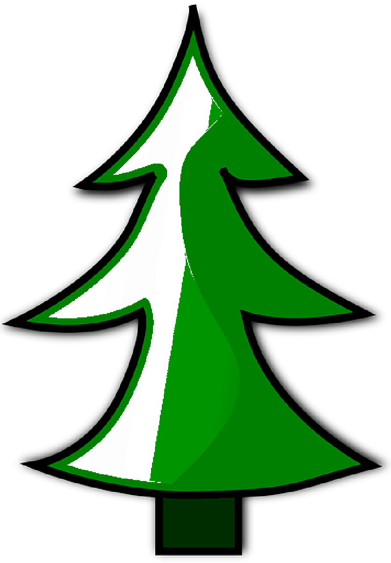 Conifer, Evergreen, Fir Tree, Christmas Tree, Tree - Christmas Tree (800x1153)