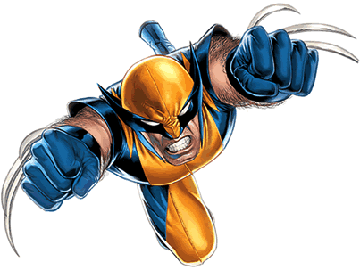 Wolverine Clip Art - Trichobatrachus Robustus (403x303)