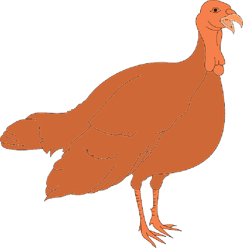 Thanksgiving, Turkey, Bird, Wings, Animal, Feathers - Clip Art (1024x1024)