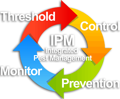 Integrated Pest Management - Waltham Pest Control (400x331)