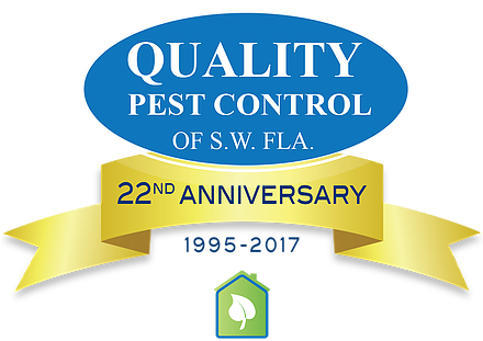 We Believe Our Pest Control Will Be Part Of A Green, - Termite (439x327)