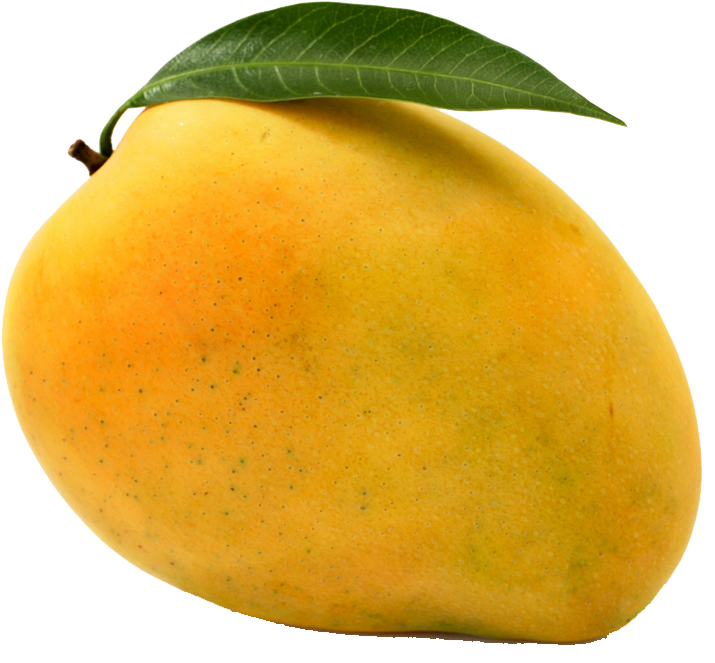 Fruits Mango (766x692)