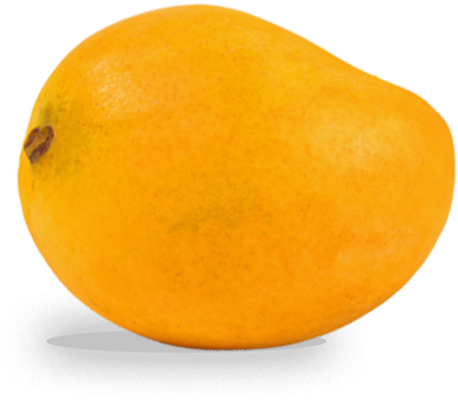 Mangos Simply Natural Harvest Mango Png - Mango Lady Victoria Panama (500x500)