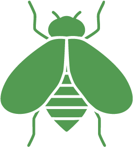 Pest Control For Bees - Pest Control & Exterminator Of Orange County (501x501)