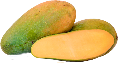 Notice - - Karthakolomban Mango In Sri Lanka (442x299)