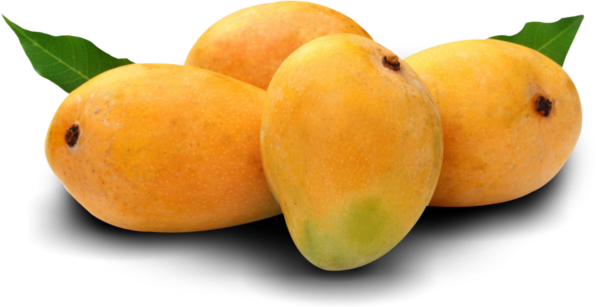Organic Alphonso Mango - Alphonso Mango (596x307)
