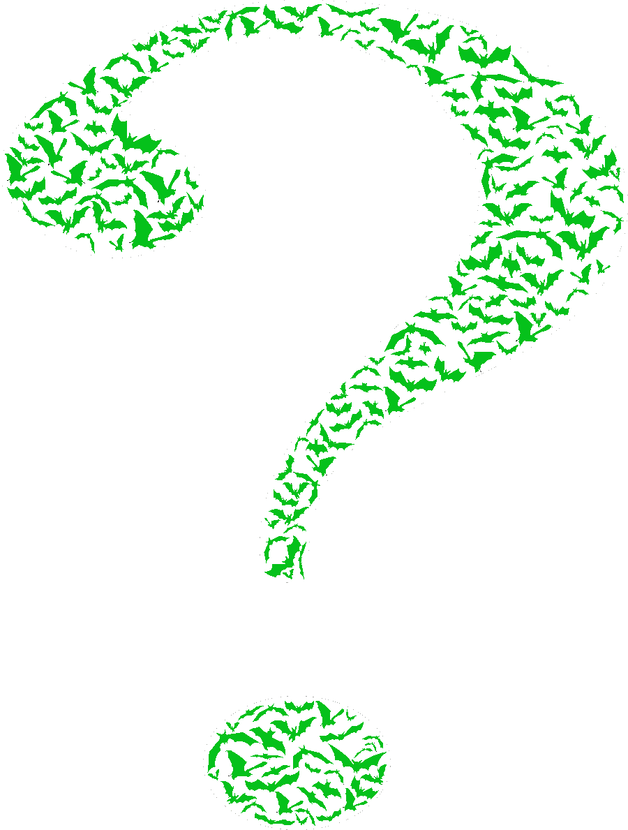 Riddler Batman Logo Question Mark - Edward Nygma Question Mark (900x1189)