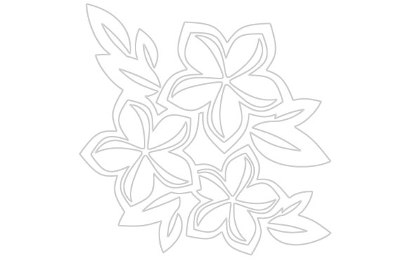 Tres Plumerias $4 - Plumeria Clipart Black And White (584x368)