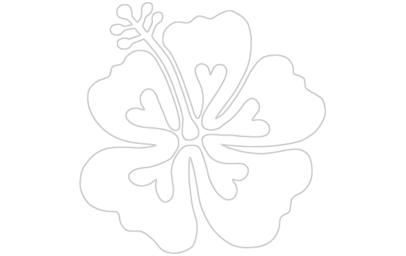 Hibiscus Love Sticker $4 - Love (584x368)