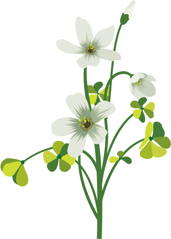 Flower Drawing Four-leaf Clover - Flowers In Summer Shower Curtain (680x962)