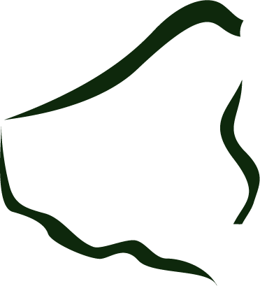 Tembua Explained And Elephants - Tembua Explained And Elephants (372x409)