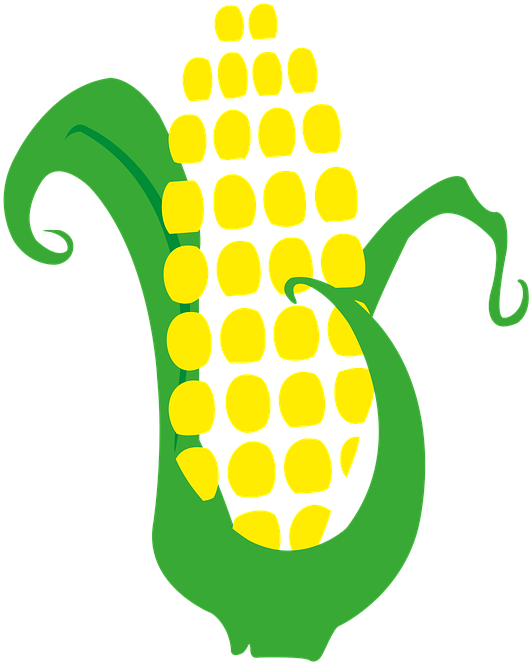 Harvest Clipart Corn Husk - Mazorca Png (720x720)