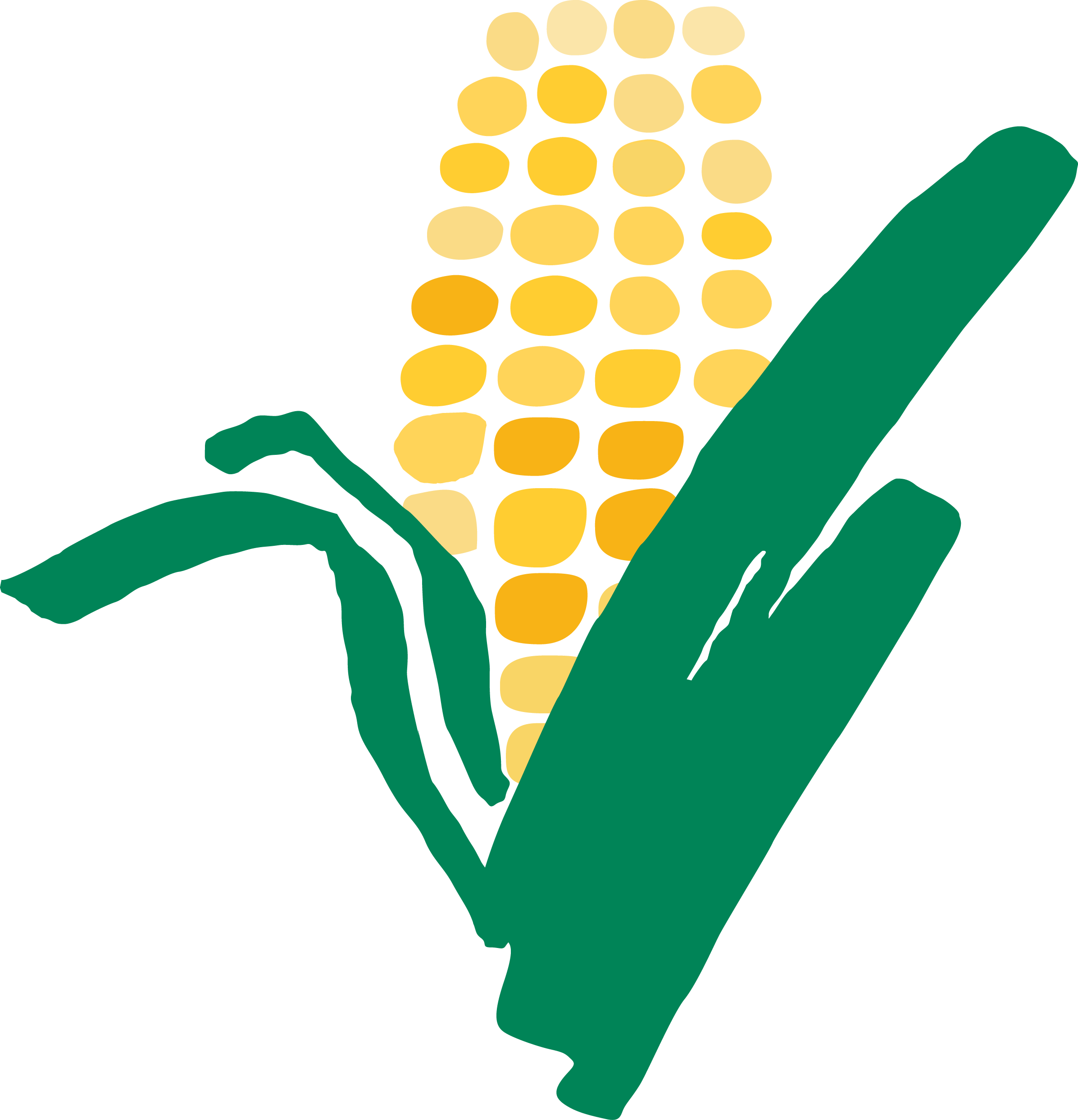 Corn - Food Bank Of South Jersey (2393x2487)