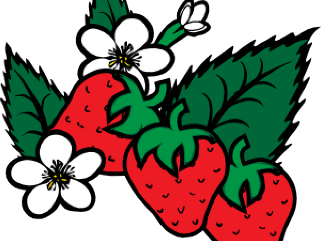 Plants Clipart Strawberry - Strawberry Plant Black And White (640x480)