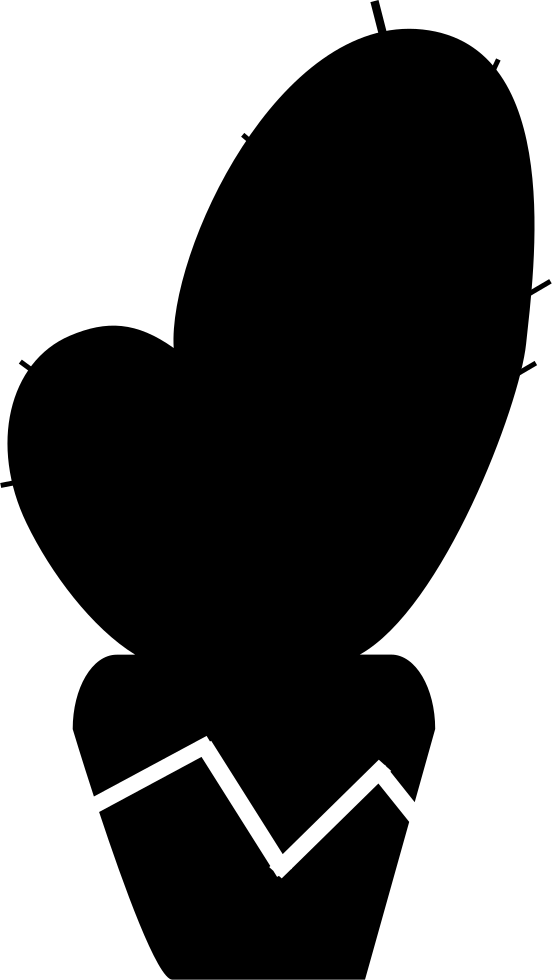 Cactus Comments - Cactus Garden (552x980)