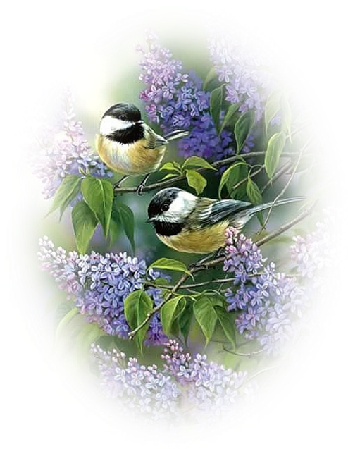 Bullet Journals - Chickadees And Lilacs Puzzle (501x644)