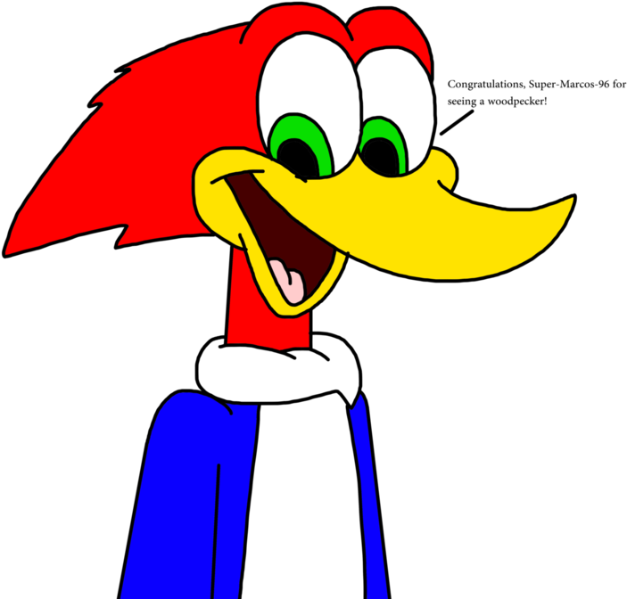 Woody Woodpecker Memes (894x894)