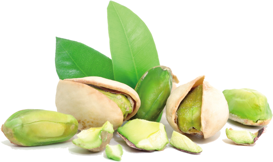 Pistachio - Pistachio Png (1000x605)