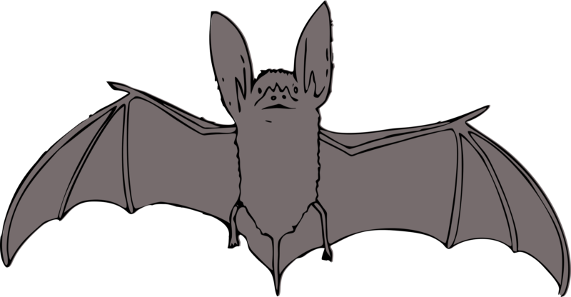 Completely Free Clipart Of A Batman Icon - Bat Clipart (800x416)