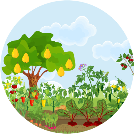 Newsletter - Tree Garden Cartoon (446x440)