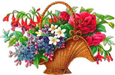 Flowers Png , Flower Png , Garden Flowers Png , Vector - Basket Full Of Flowers (440x330)