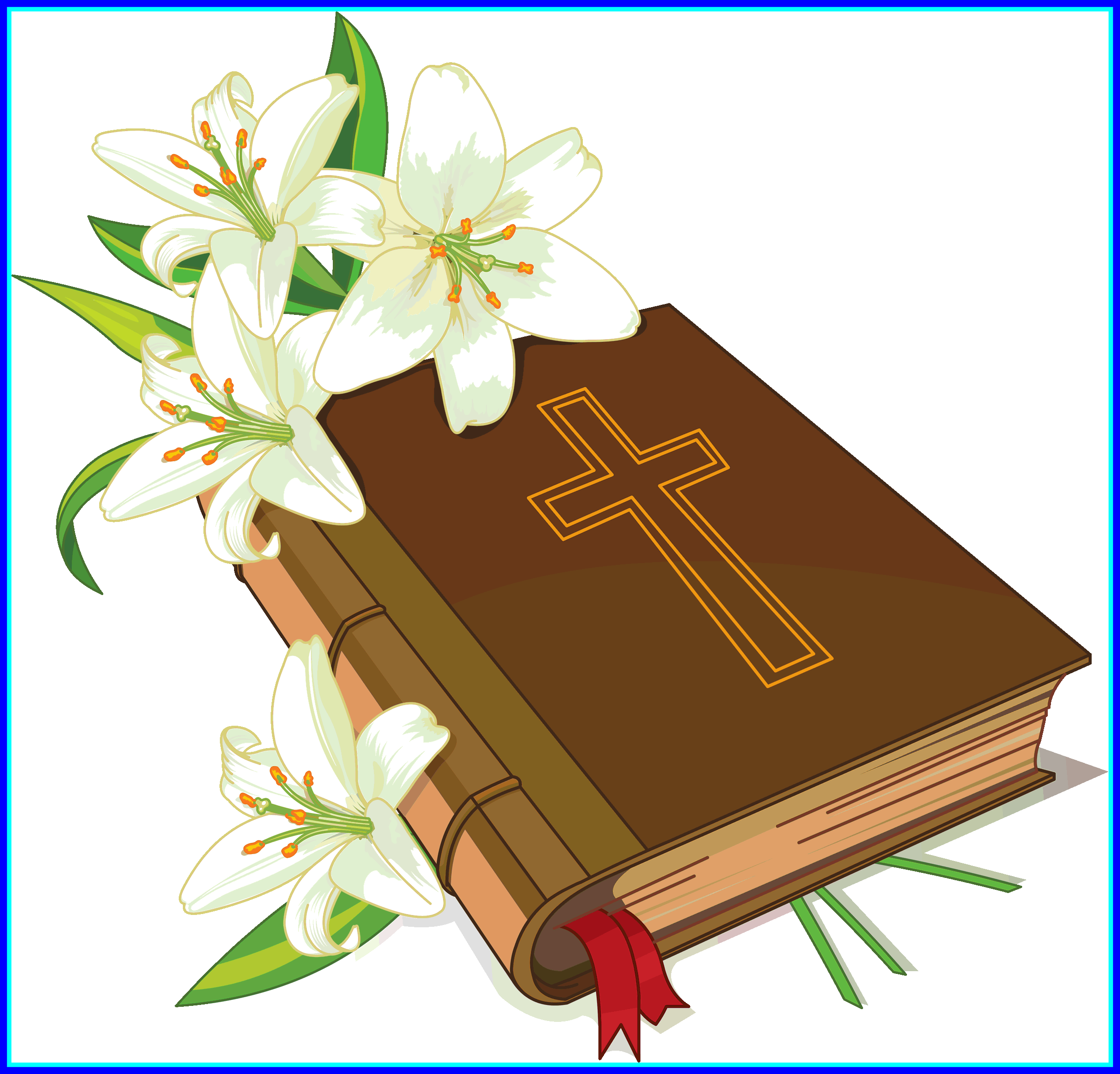 Lily Flower Lily Flower Vector Png Fascinating Bible - Bible Coloring Book [book] (2450x2350)