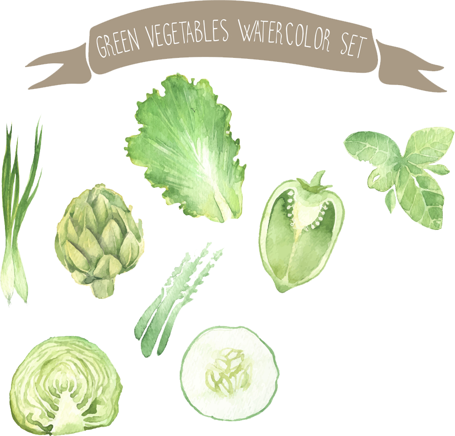 Watercolor Painting Vegetable Drawing Illustration - Recipe Journal: Set Of Watercolor Veggies Cooking Journal, (921x882)
