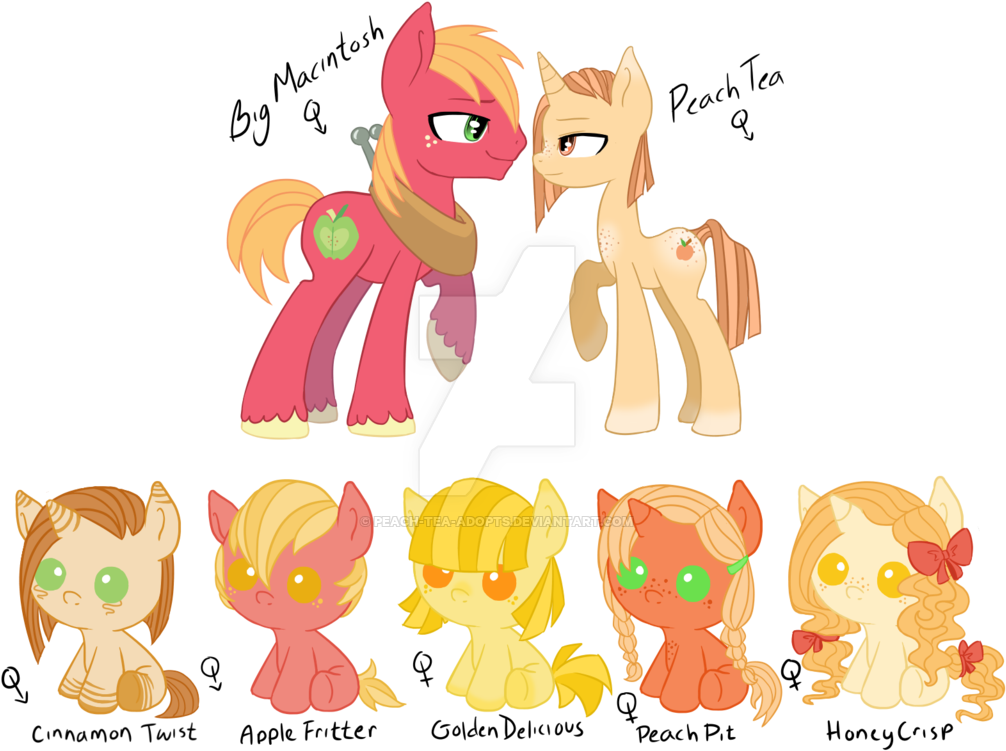 Horse Mammal Organ Clip Art - Cartoon (1024x768)