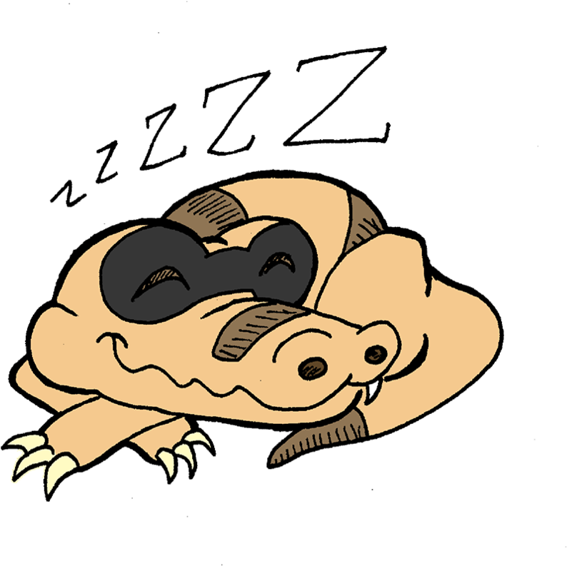 Sandile Went To Sleep By Plummypress - Sleep (900x853)