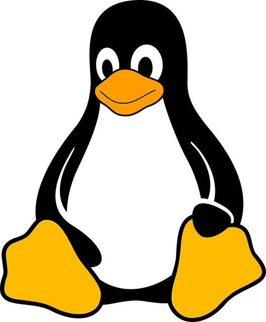Que Una Distribución Gnu/linux Es La Forma Más Cómoda, - Linux Icon Png (529x640)