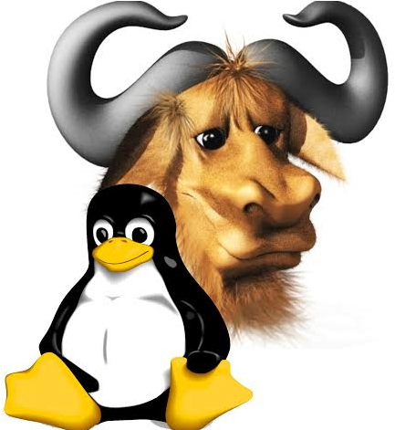 Image01 - Gnu Linux (470x470)