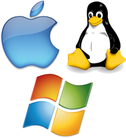 Examples Include Windows, Unix, Gnu/linux And Mac Osx - Types Of System Software With Examples (500x500)