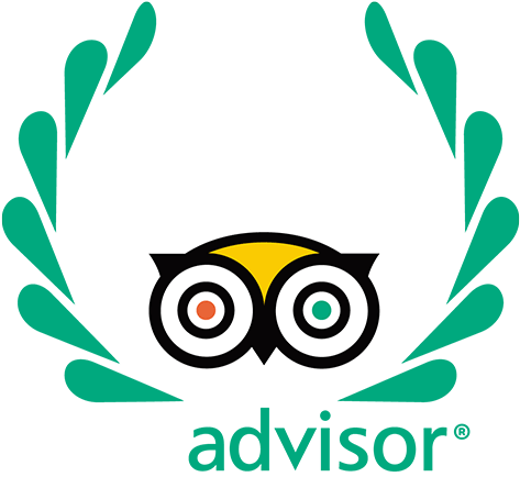 2018 Travelers' Choice - Listerine Antiseptic Mouthwash, Cool Mint - 250 Ml (1000x500)